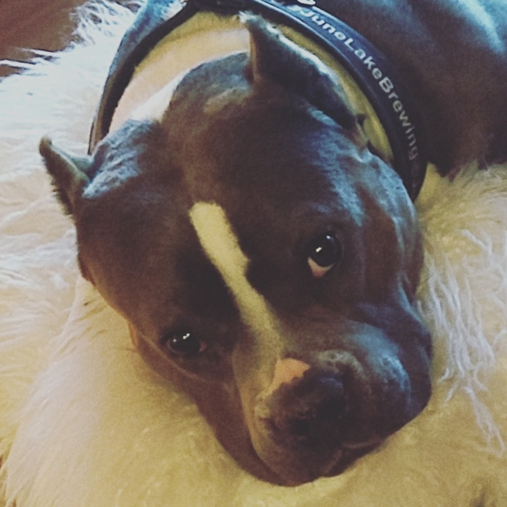 Meet your Posher, Elizabeth